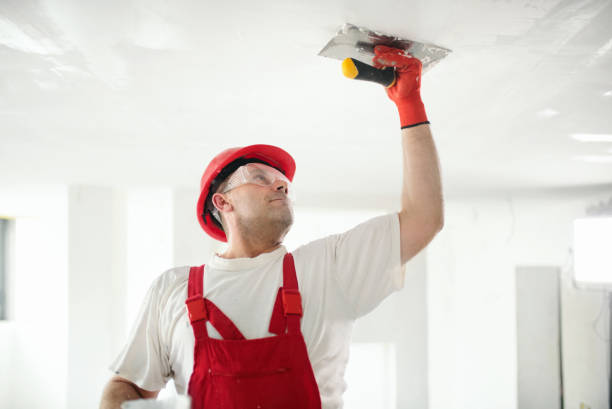 Trusted Pine Valley, CA Painting & Drywall Installation Experts